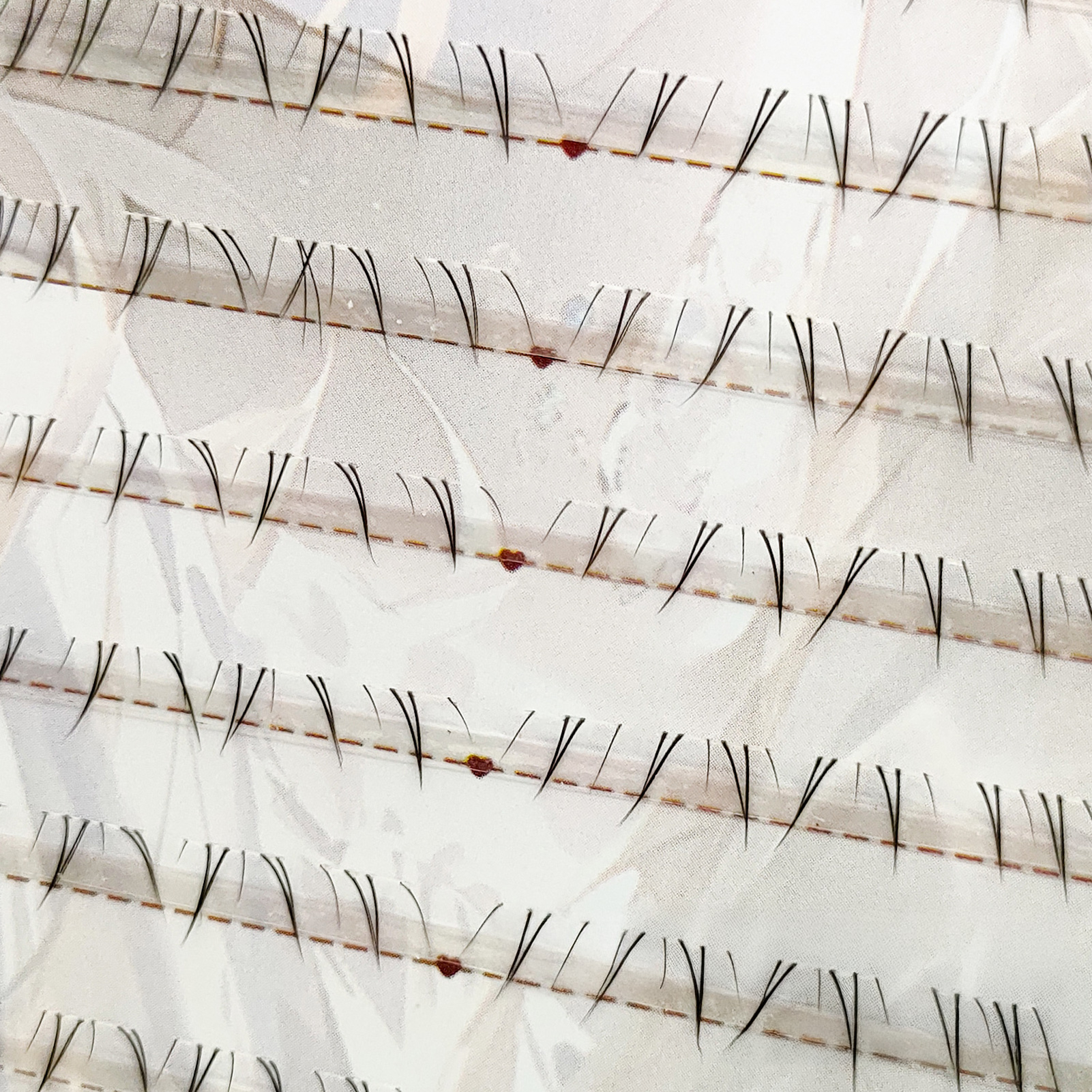 Soft Manga Bottom Lower Eyelas - Eyelash Extension Natural avaliação e preço