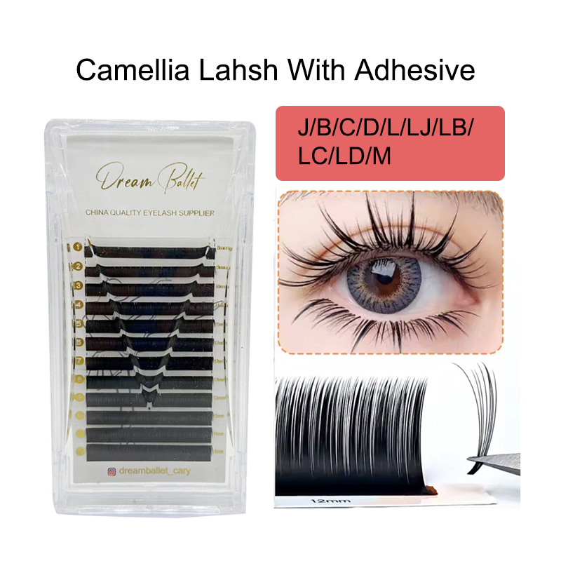 dream ballet Camellia Lashes w - Eyelash Extension Russian Volume avaliação e preço
