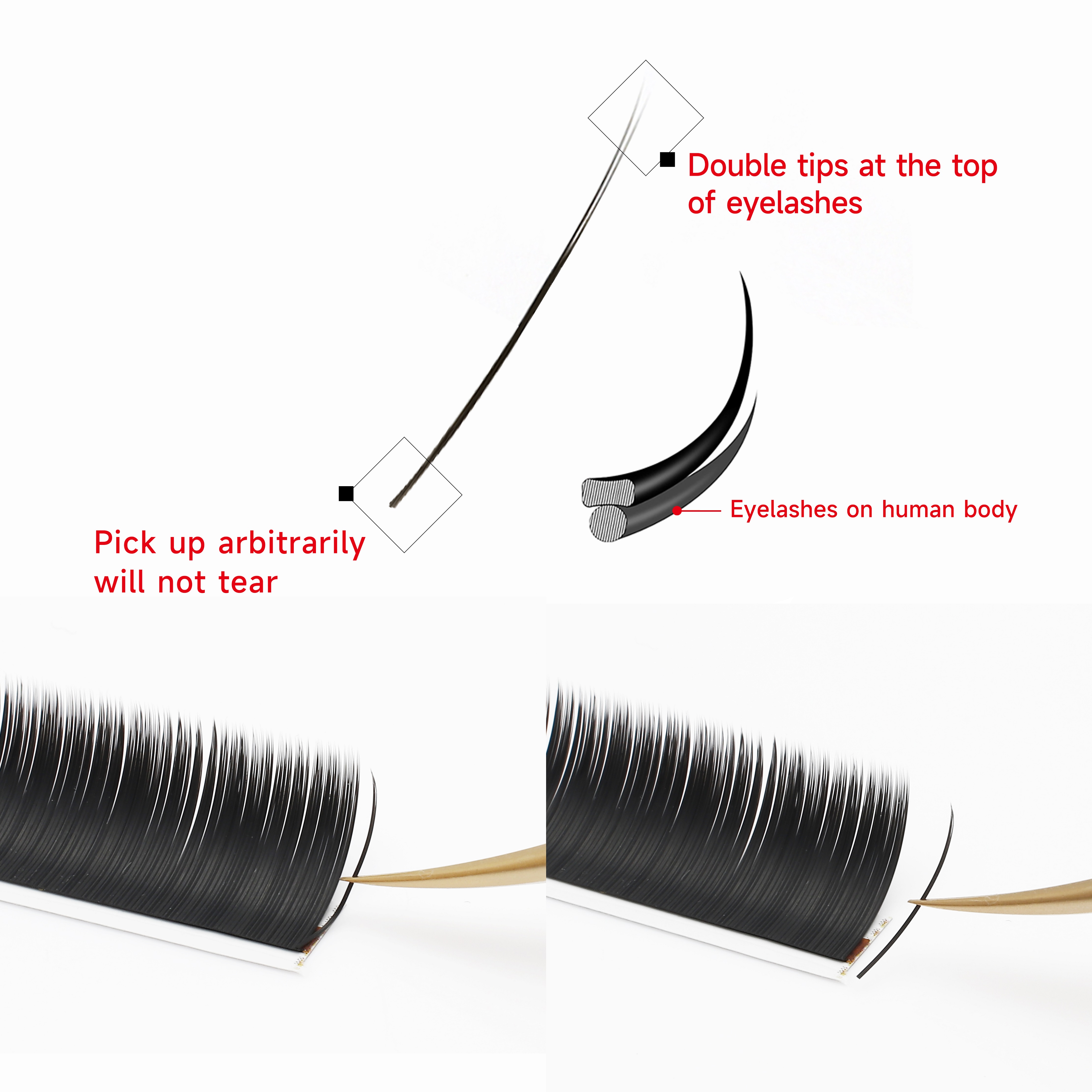 XIUSUZAKI Flat Ellipse Eyelash - Eyelash Extension Yy avaliação e preço